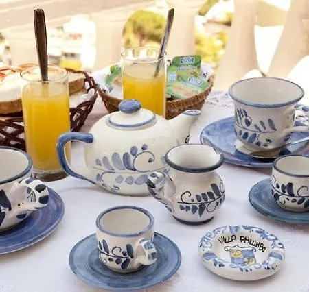 לינה וארוחת בוקר Bb